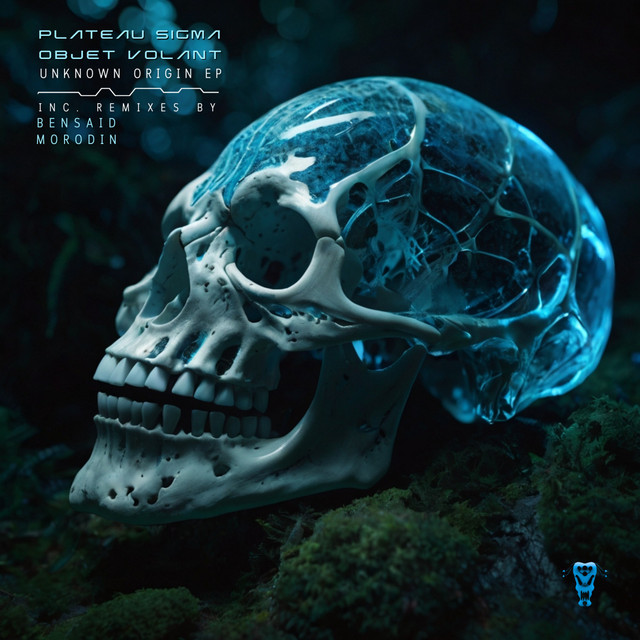 Unknown Origin - Bensaid Remix cover art