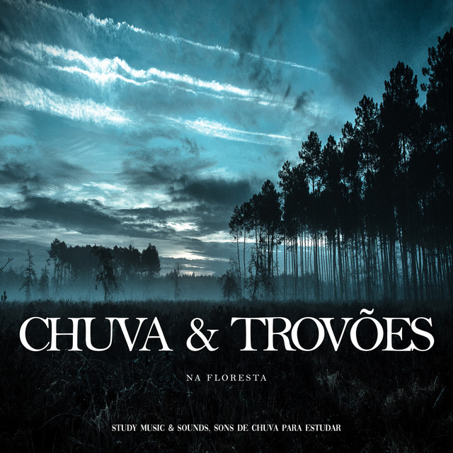Chuva e Trovões na Floresta