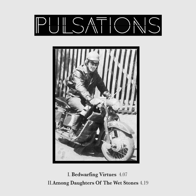 Pulsations cover