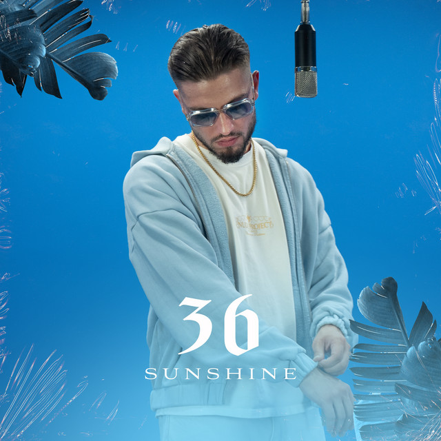 36 Sunshine cover art