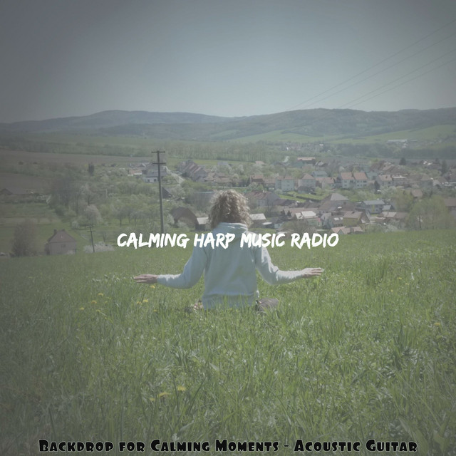Backdrop for Calming Moments - Acoustic Guitar cover art