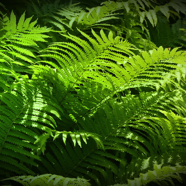 Trying On New Clothes / Ambient Soothing Music, Soundscapes Relaxing Music cover art