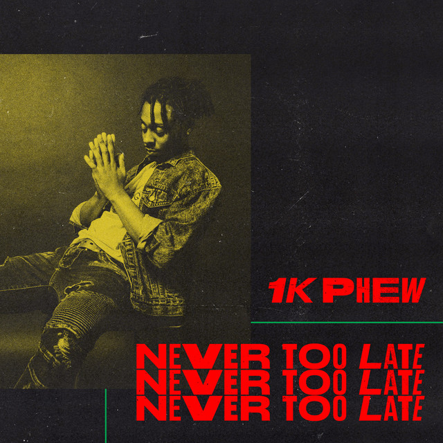 Never Too Late cover art