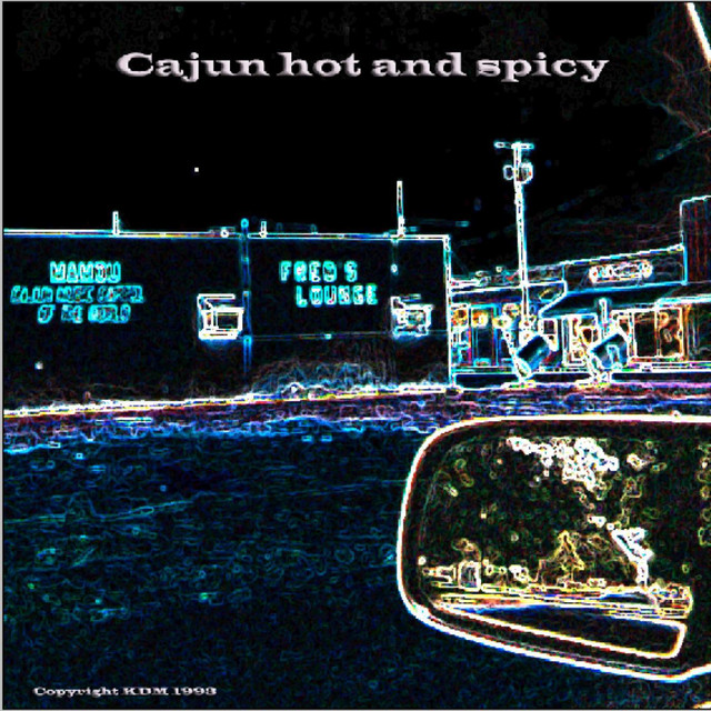 Cajun Hot and Spicy With a Dash of Country cover art