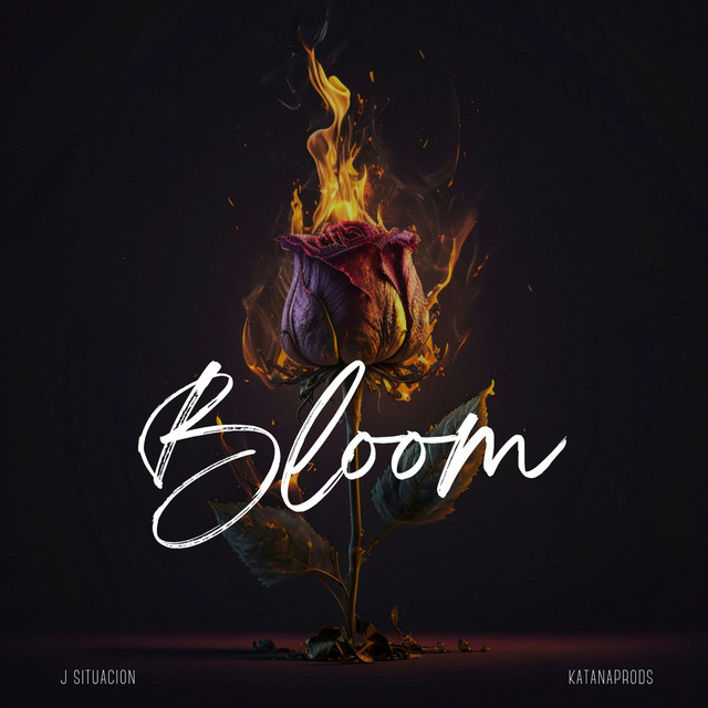 Bloom