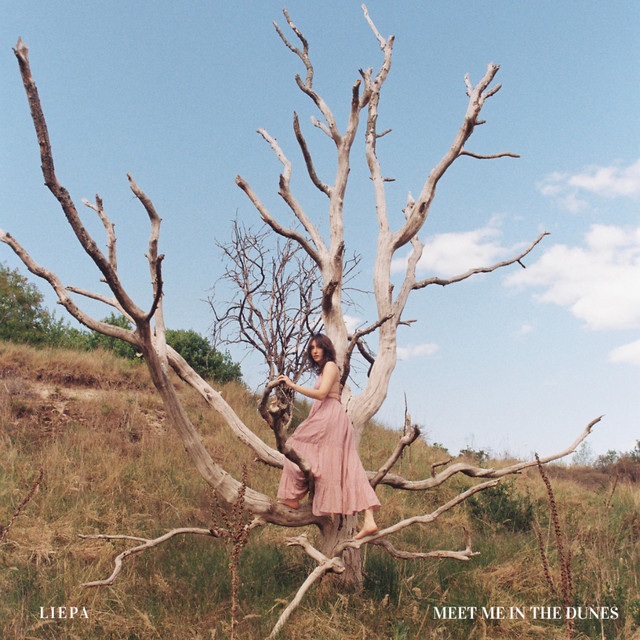 Meet Me In The Dunes cover art