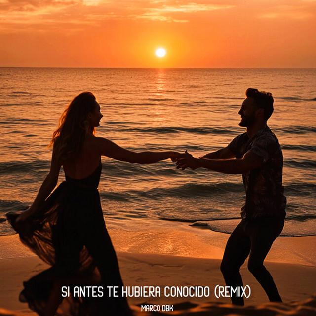 Si Antes Te Hubiera Conocido - Remix