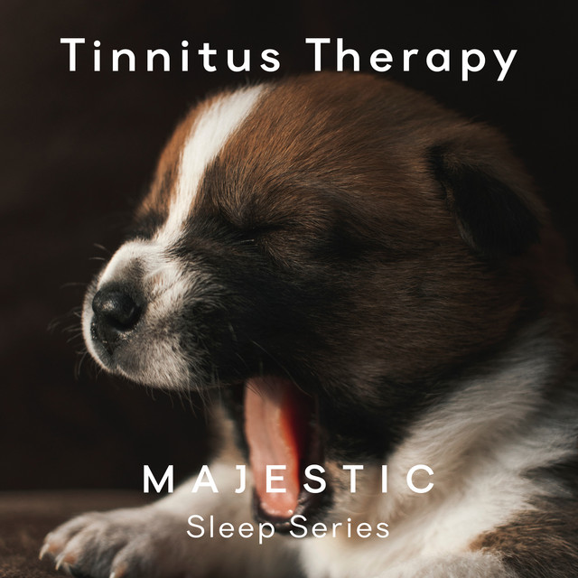 Tinnitus Majestic Sleep cover art