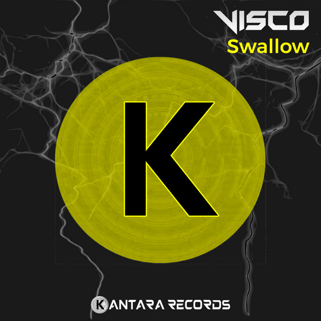 Swallow cover art