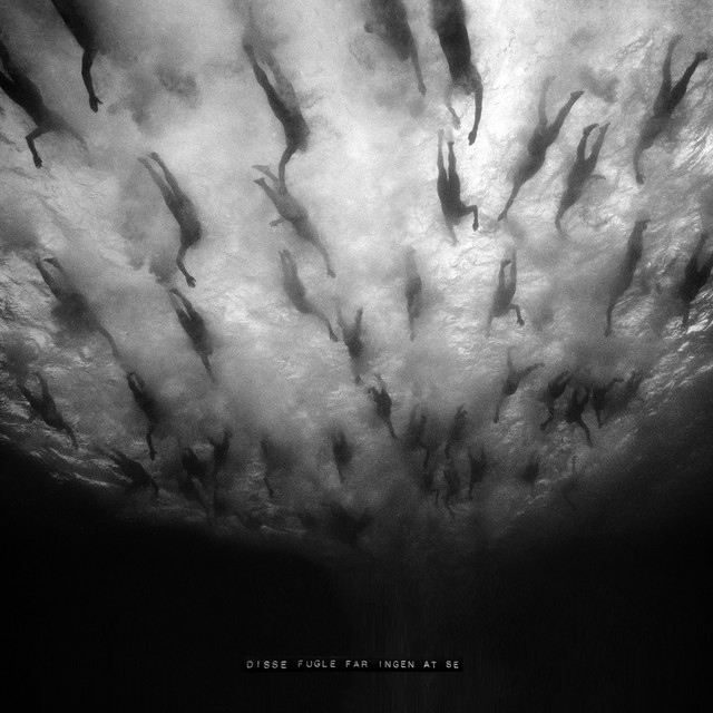 DISSE FUGLE FÅR INGEN AT SE cover art
