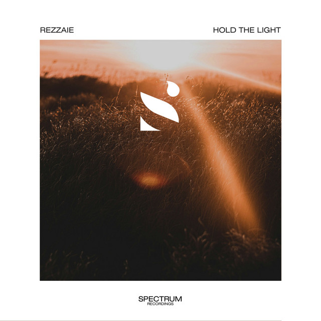 Hold The Light
