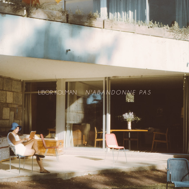 N'abandonne pas cover