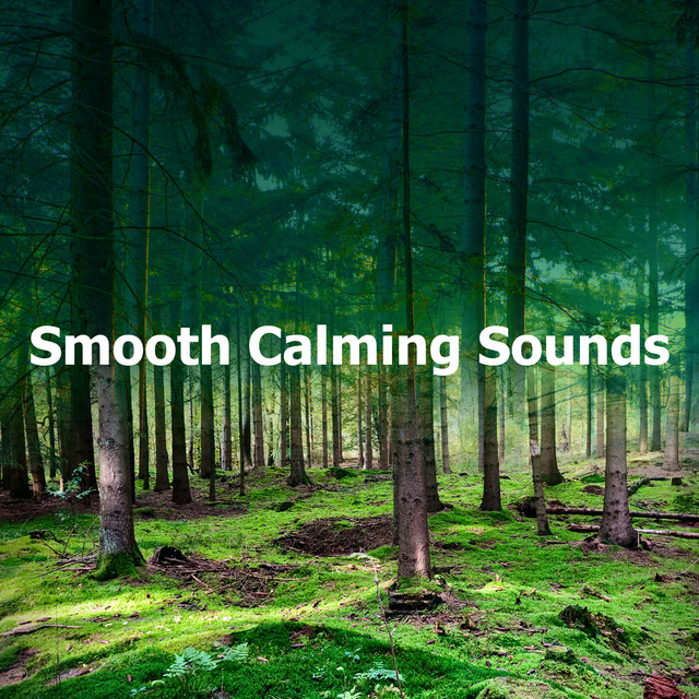 Smooth Calming Sounds - Album by Calming Sounds | Spotify