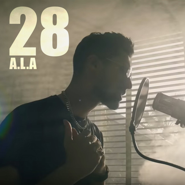 28 cover art