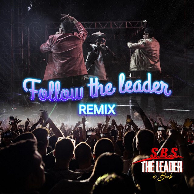 Follow the leader rmx cover