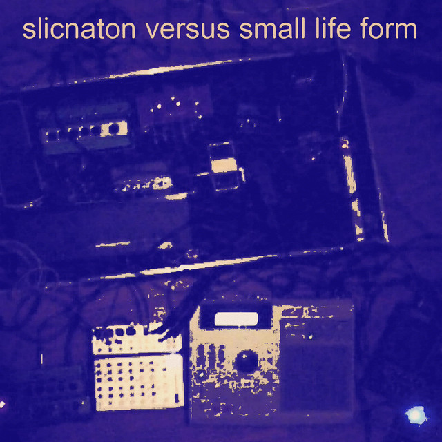 Slicnaton versus Small Life Form cover