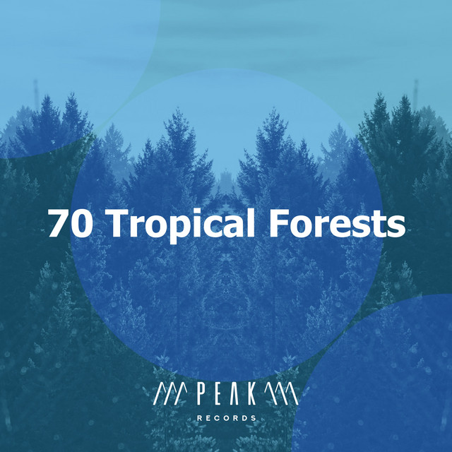 70 Tropical Forests - Album by Sleep Sounds of Nature | Spotify