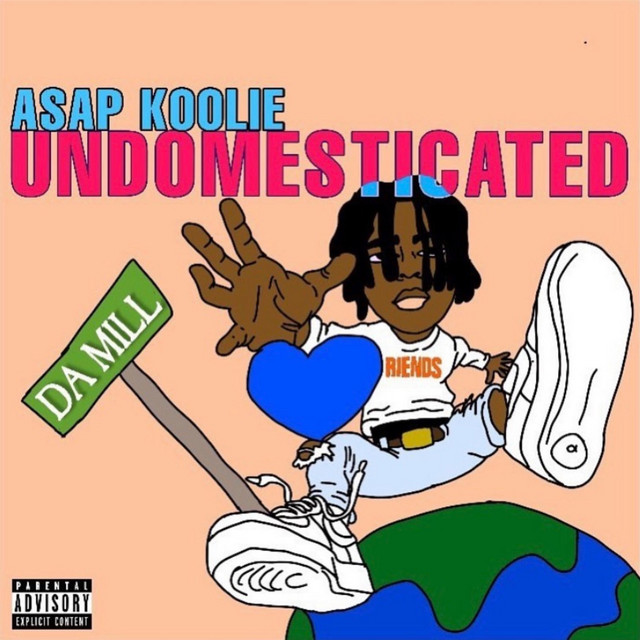 Undomesticated cover art