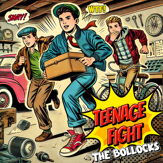 Обкладинка The Bollocks — Teenage fight (Live)