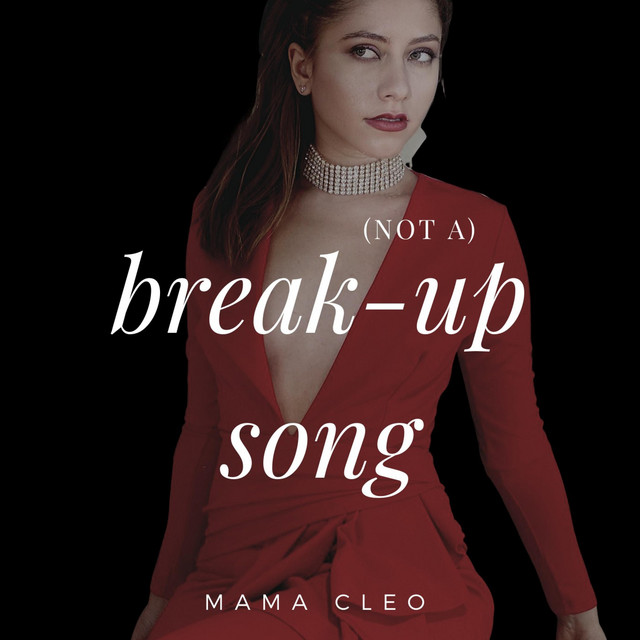Not a Break Up Song album image
