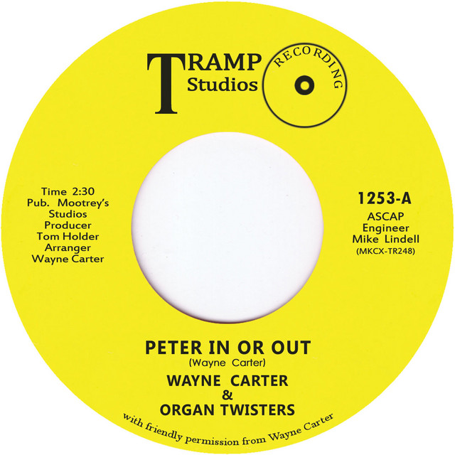 Peter in or Out cover