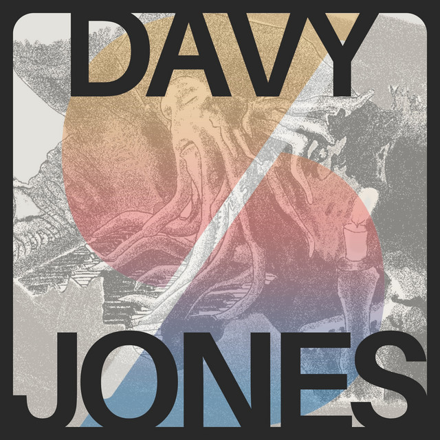 Davy Jones cover