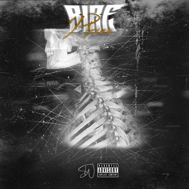 Plexsus cover art