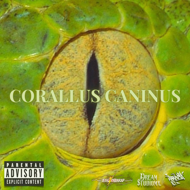 CORALLUS CANINUS cover art