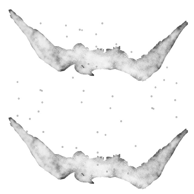 Я люблю птиц cover art