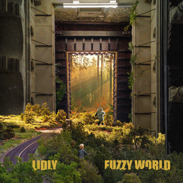 FUZZY WORLD cover