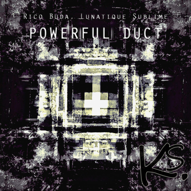 Обкладинка: Powerful Duct - Original Mix — Rico Buda