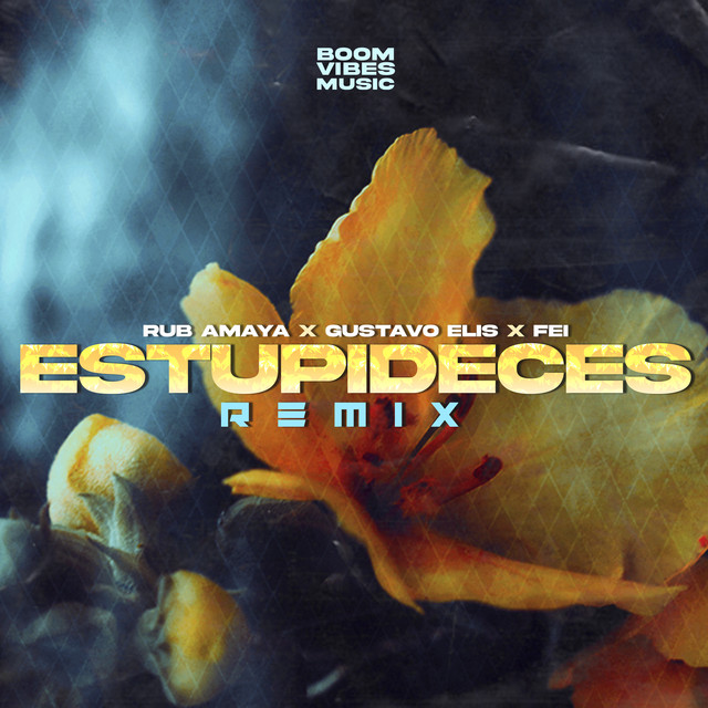 Estupideces (Remix)