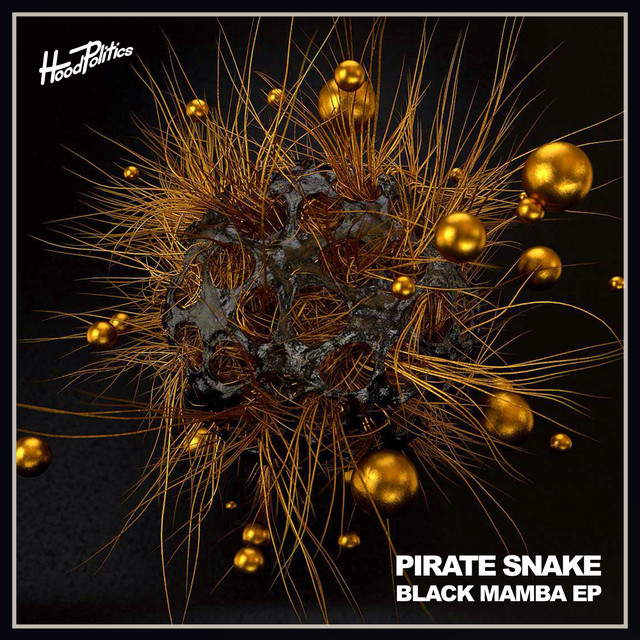 Black Mamba album art