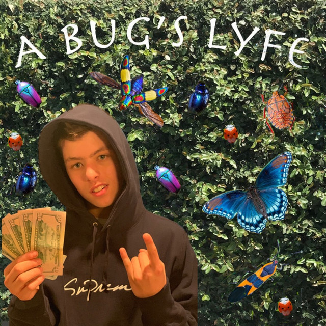 A Bug's Lyfe - Album by Lil Bug | Spotify