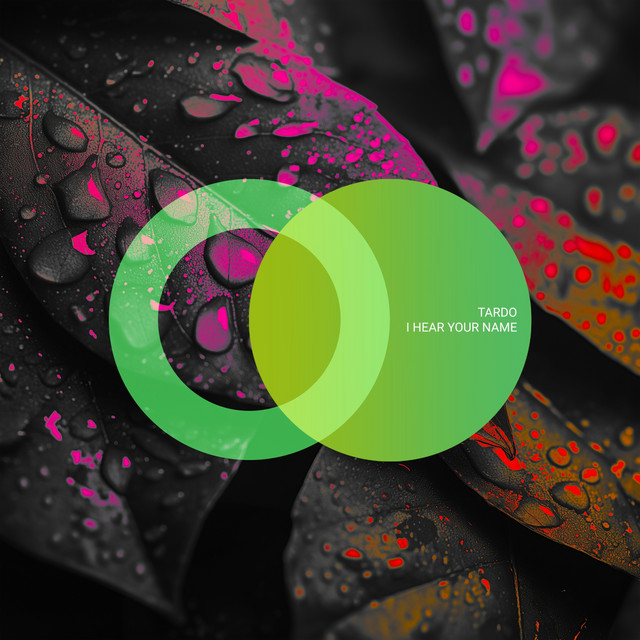 I Hear Your Name cover art