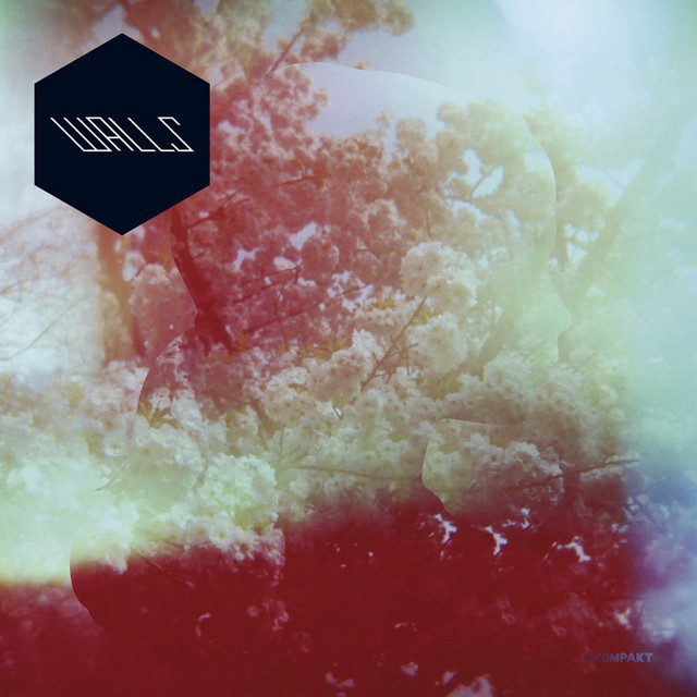 Walls cover art