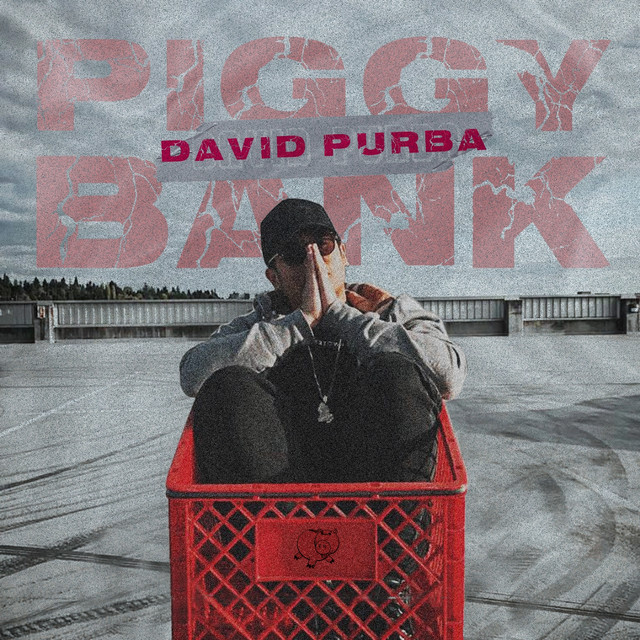 Piggy Bank cover