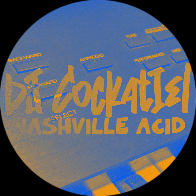 Acid Playground cover art
