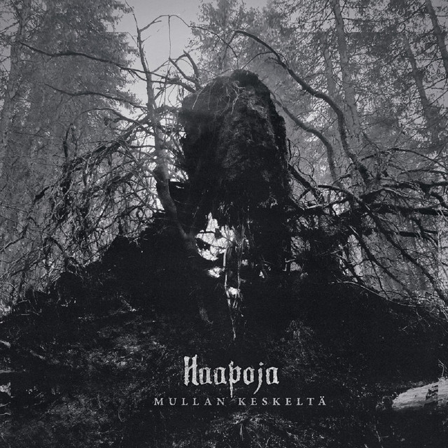 Haapoja image