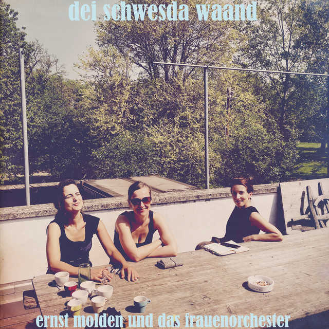 Dei Schwesda waand cover art