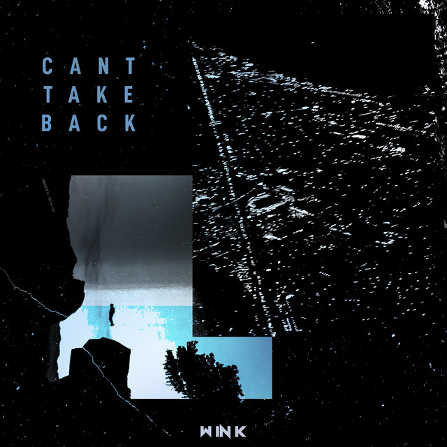 CANT TAKE BACK