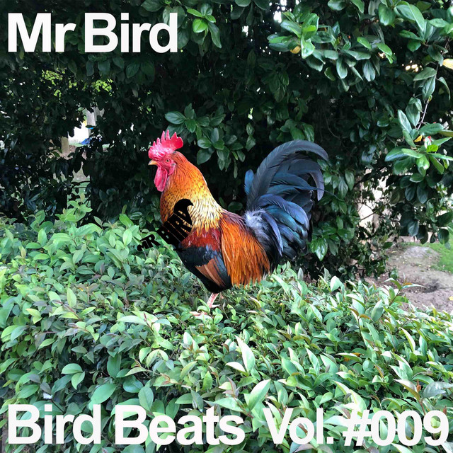 Bird Beats #009 cover art