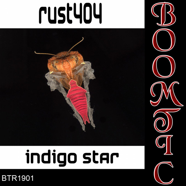 Indigo Star cover art