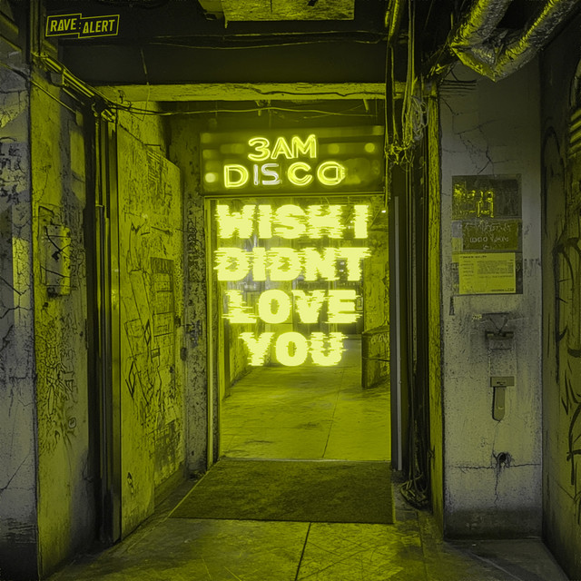 Wish I Didn't Love You - Radio Edit