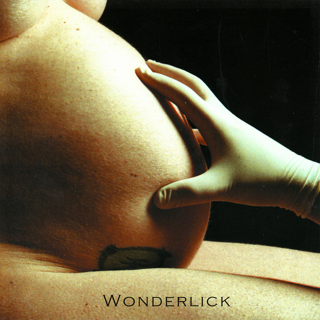 Wonderlick cover