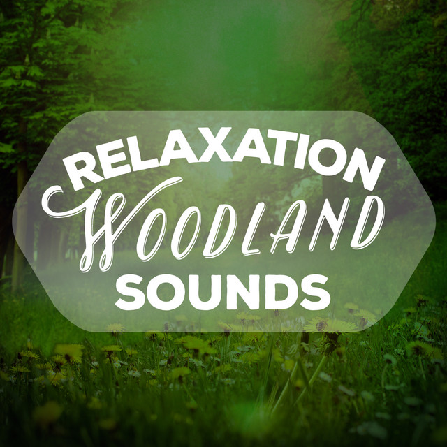 Relaxation Woodland Sounds cover art