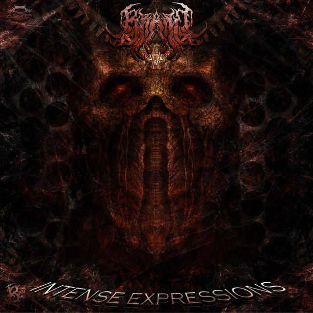 Intense Expressions cover art