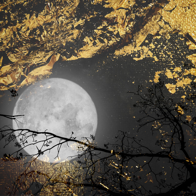 Secret Prayers to the Wise Dormant Moon cover art