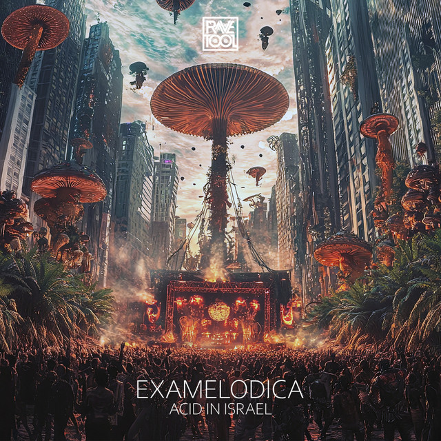 Acid In Israel album art