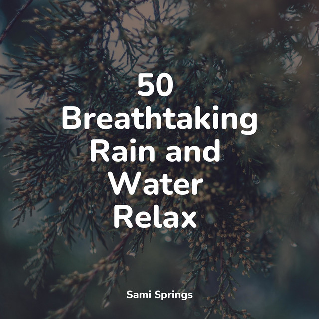 50 Loopable Rain and Nature Sounds - Album by White Noise Babies | Spotify